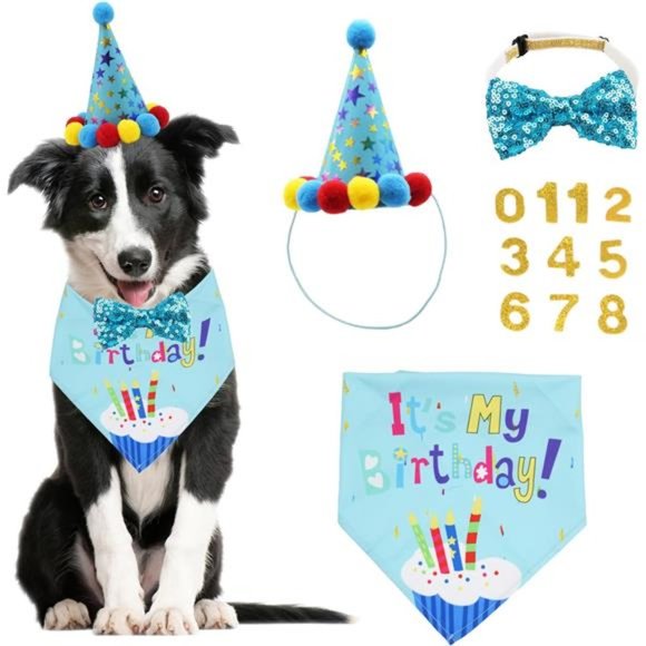 Dog Birthday Bandana Scarf &Dog Girl Boy Birthday Party Hat with Cute Dog BowTie - Picture 1 of 7